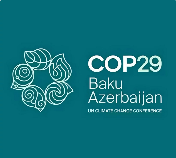 COP 29_Logo